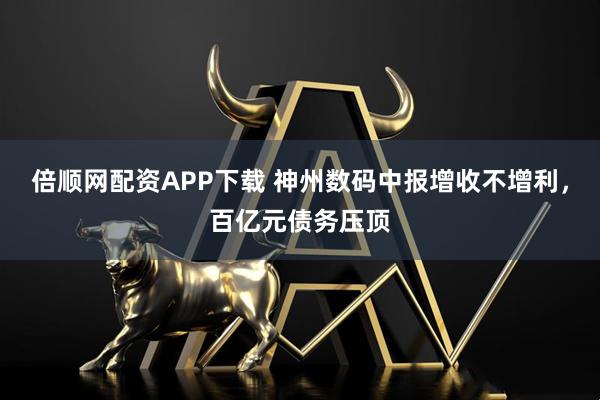 倍顺网配资APP下载 神州数码中报增收不增利，百亿元债务压顶