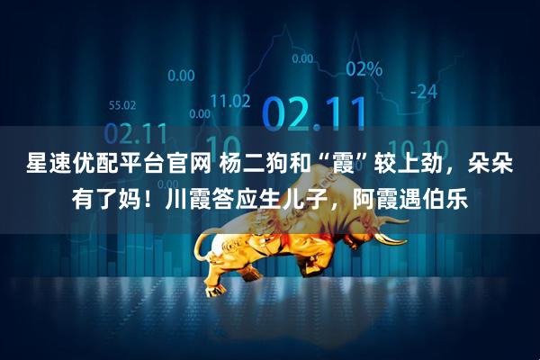 星速优配平台官网 杨二狗和“霞”较上劲，朵朵有了妈！川霞答应生儿子，阿霞遇伯乐