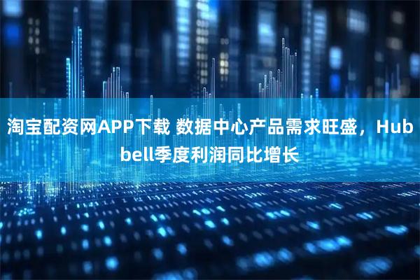 淘宝配资网APP下载 数据中心产品需求旺盛，Hubbell季度利润同比增长