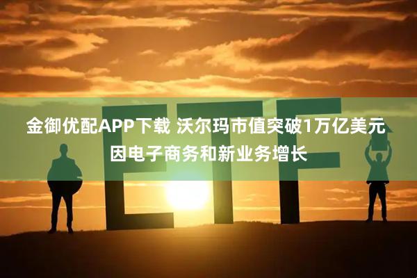金御优配APP下载 沃尔玛市值突破1万亿美元 因电子商务和新业务增长