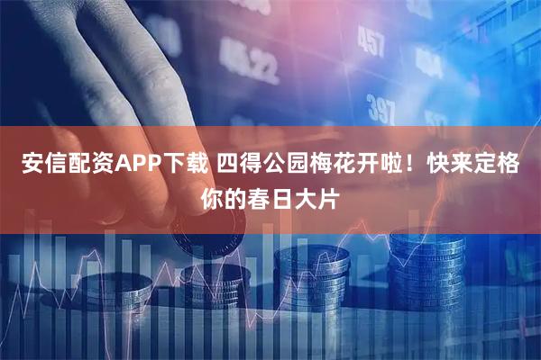 安信配资APP下载 四得公园梅花开啦！快来定格你的春日大片