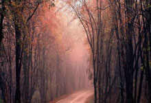 股票行情,:炒股配资首选配资-美国大举增兵 3艘军舰4000士兵指向委内瑞拉 马杜罗宣布：将部署400万民兵应对“侵略”